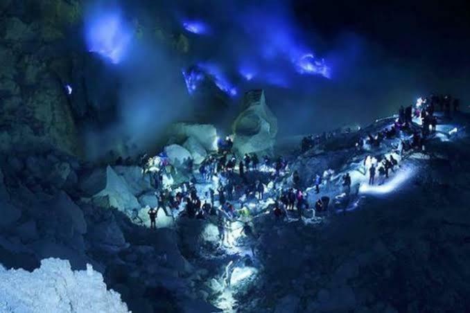 Ijen Mansjestic B&B Tamansuruh Εξωτερικό φωτογραφία